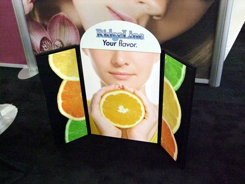 Trade Show Table Top Folding Display Board